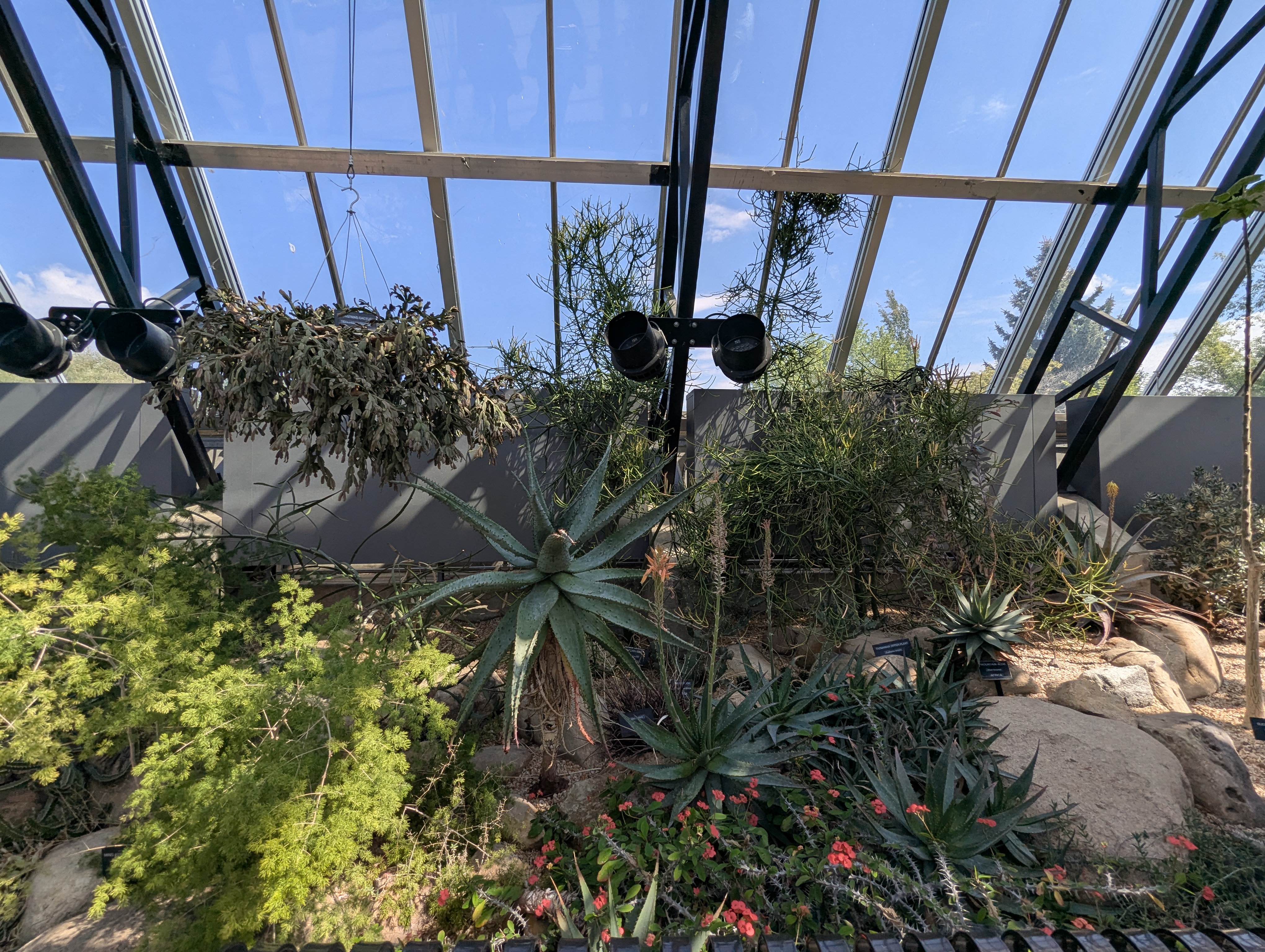 Birthday Trip to Canada, Edmonton, Pyramids, Muttart Observatory